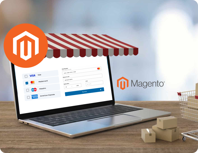 magento-section